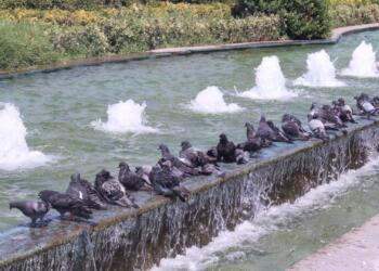 İzmir’de 85 yılın en sıcak yazı