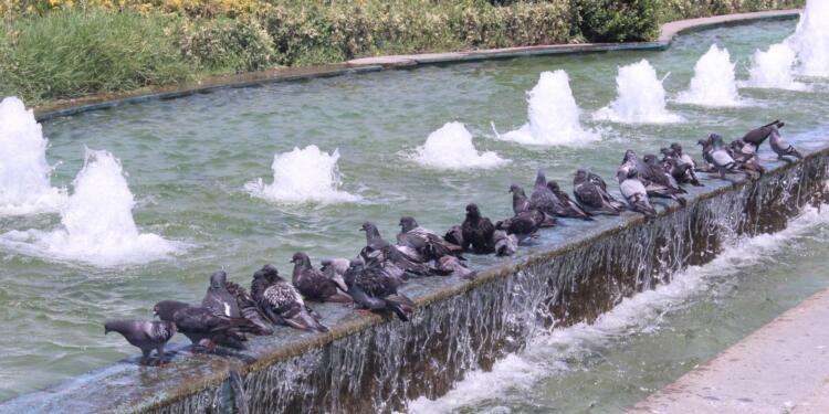 İzmir’de 85 yılın en sıcak yazı