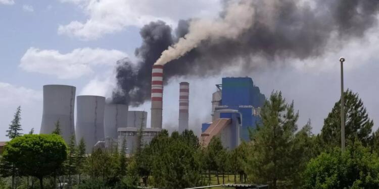 Afşin-Elbistan Termik Santralleri yaşamı öldürüyor