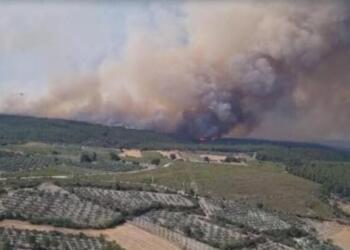 Kınık’ta orman yangını: 3 mahalle tahliye edildi