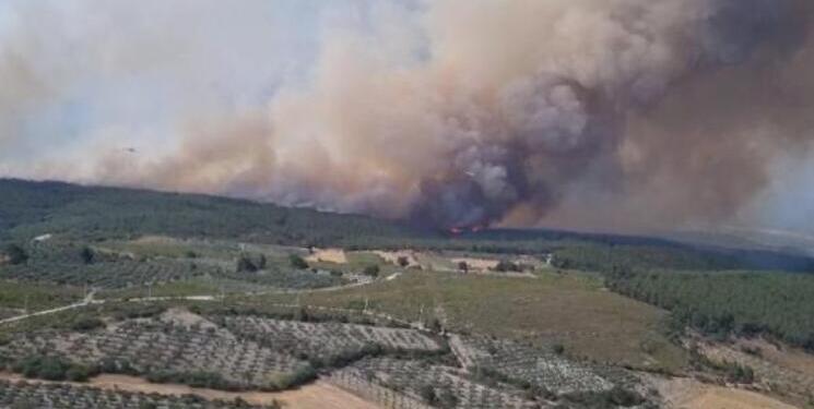 Kınık’ta orman yangını: 3 mahalle tahliye edildi