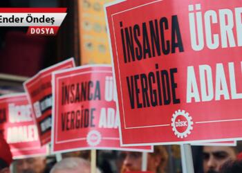 Kaz yolma sanatı: KDV