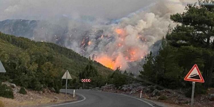 Antalya’da orman yangınları: Kemer 3 gündür yanıyor