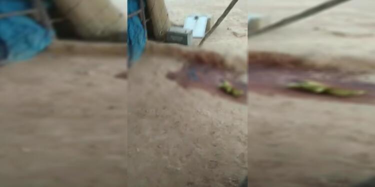 Türkiye’nin Eyn Îsa’ya saldırısında 2’si çocuk 3 kişi yaşamını yitirdi