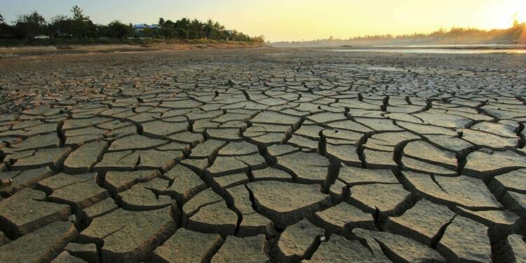 Irak’ın yüzde 4’ü çölleşti