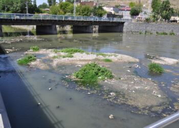 Kars Çayı kentin ve var olan işletmelerin atık sularının bırakıldığı bir alana dönüştürülürken, çay çevresie zehir saçmaya devam ediyor.