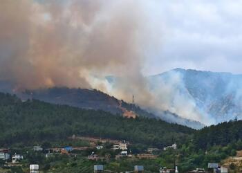 Hatay’da orman yangını
