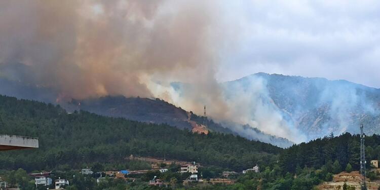 Hatay’da orman yangını