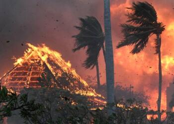 Hawai’de devam eden orman yangınlarında ölü sayısı 67’ye yükseldi