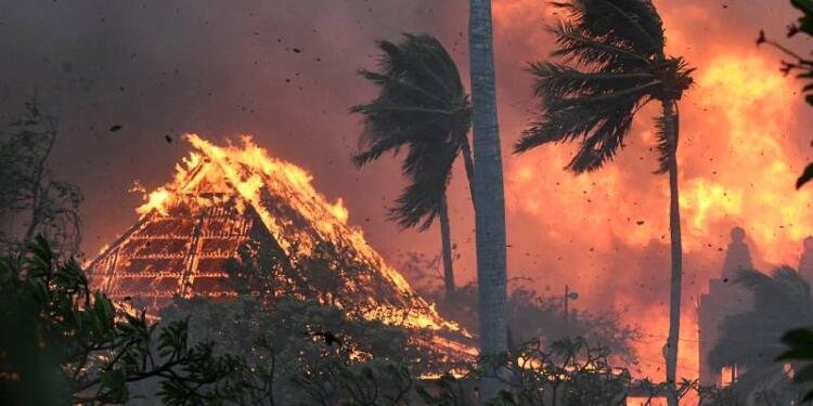 Hawai’de devam eden orman yangınlarında ölü sayısı 67’ye yükseldi