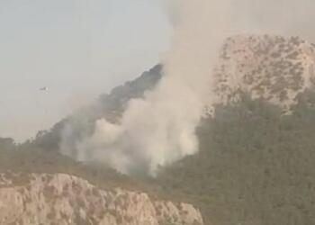 IZMIR'IN KEMALPASA ILCESINDE ORMAN YANGINI CIKTI. HAVADAN VE KARADAN MUDAHALEYLE YANGIN, KISMEN KONTROL ALTINA ALINDI.(FOTO: IZMIR DHA)