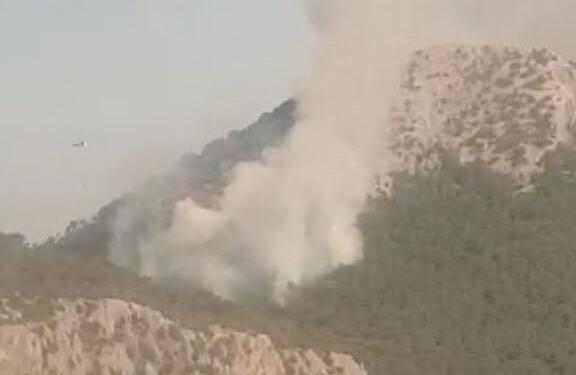 İzmir’de orman yangını