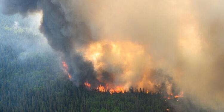 Kanada’da 30 milyon dönümlük arazi kül oldu