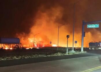 ABD’de orman yangınları: 36 ölü, 11 binden fazla tahliye