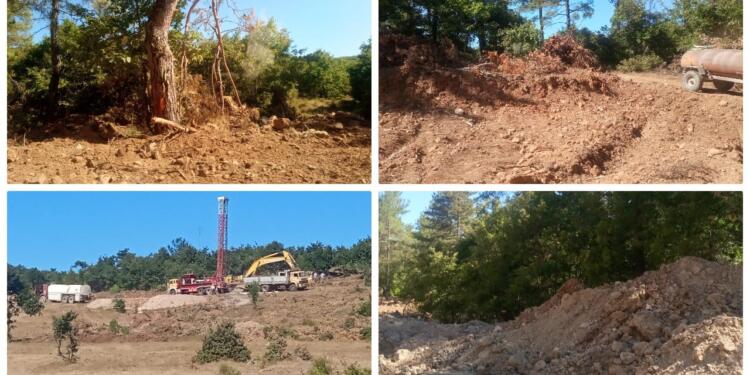 Akbelen’in ardından Kazdağları’nda da ağaç katliamı