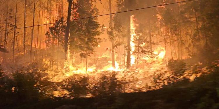 Kanada ve İspanya’da yangınlar kontrol altına alınamıyor