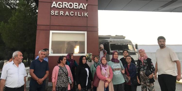 Agrobay Seracılık işçileri eylemlerine devam ediyor