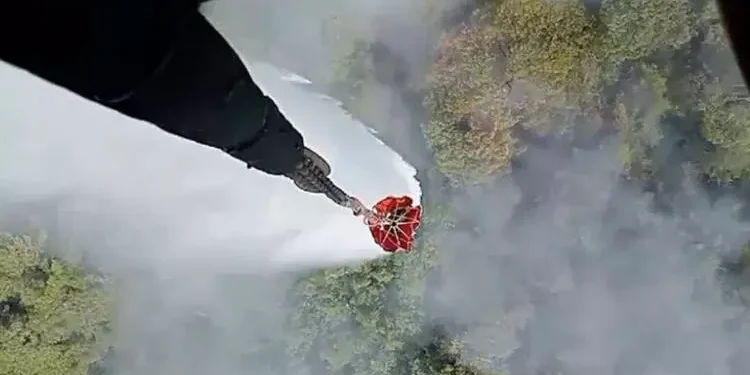 İzmir’de orman yangını