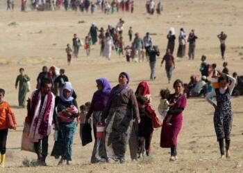 Siyasi partilerden 74’ün Ferman açıklaması: Şengal’e satatü verilmeli