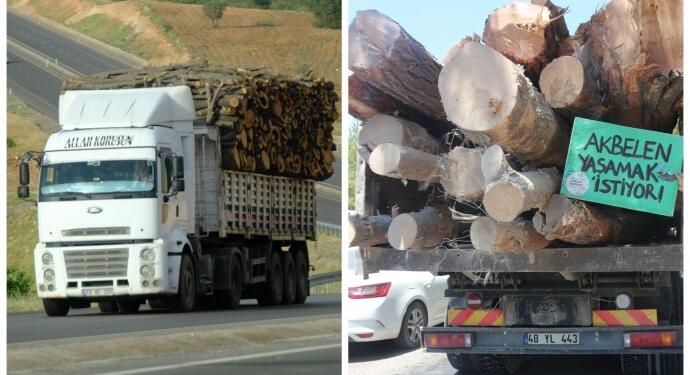 ‘Akbelen’den Cudi’ye doğayı savunmaktan vazgeçmeyeceğiz’