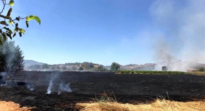 Denizli’de ekili tarım arazileri yandı