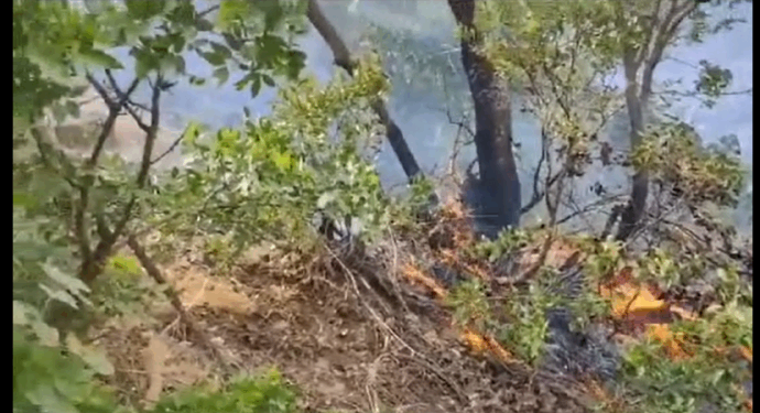 Marînûs’ta çıkan yangın 5 gündür devam ediyor