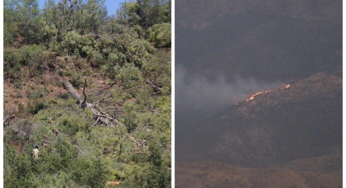Ceylan: Ekolojik yıkıma karışı kurtuluş ekolojik sosyalizmdir