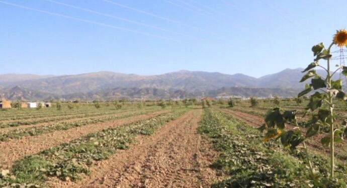 Sıcaklıklar milyonlarca işçinin yaşam koşullarını tehdit ediyor