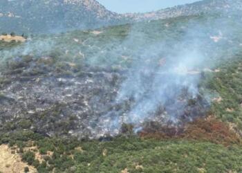 Ödemiş’te orman yangını