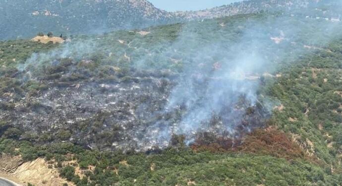 Ödemiş’te orman yangını