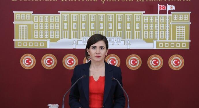 Boz’dan bakanlığa sığınma evlerine ilişkin soru önergesi