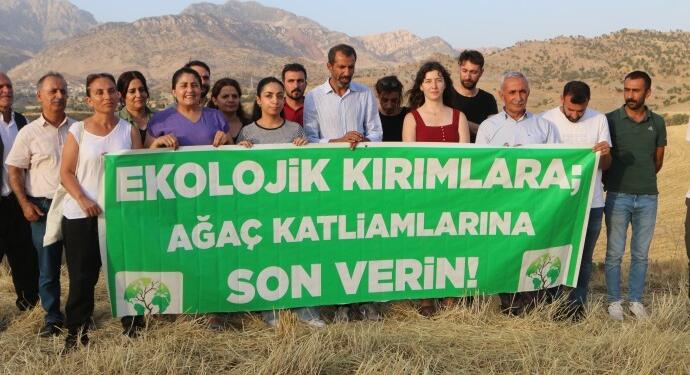 Ekoloji örgütleri Cûdî Dağı’nda incelemelerde bulundu