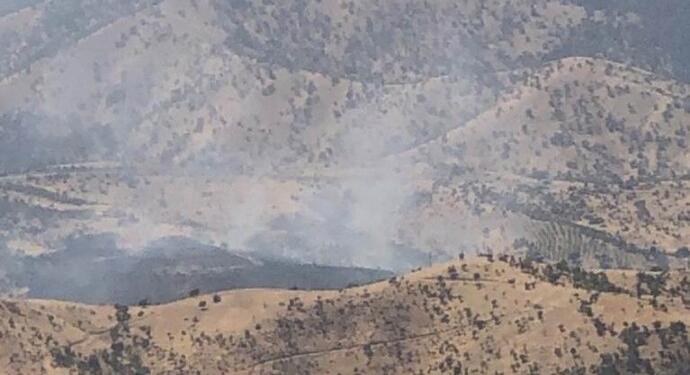 Cûdî Dağı’nda çıkan yangın söndürüldü