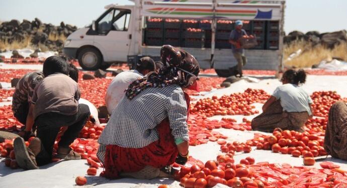 Qerejdax çiftçileri DEDAŞ ve tüccarlara tepkili