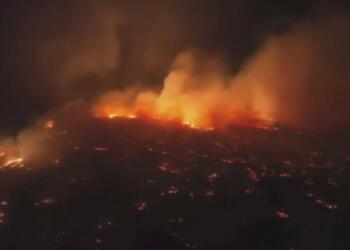 Hawaii’deki yangında ölü sayısı 50’yi aştı