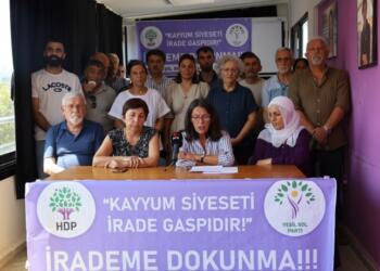 Sinemillioğlu: Kayyumla gelen direnişle gider