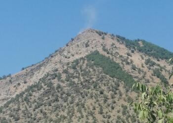 Dara Hênê’de askeri üs için ağaç kıyımı yapıldı