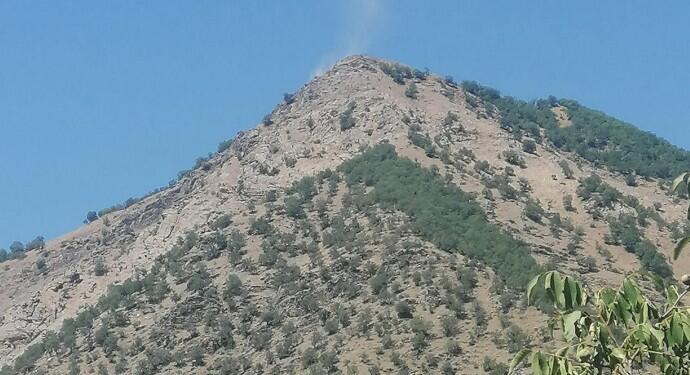 Dara Hênê’de askeri üs için ağaç kıyımı yapıldı