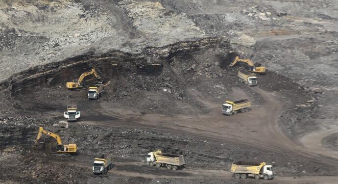 İktidar destekli 5’li çetenin doğa katliamı