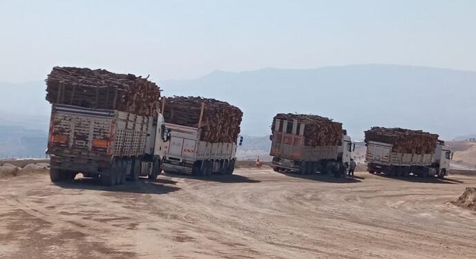 Cûdî ve Gabar’da son üç yıllık bilanço: 37 ormanlık alanda yangın, 68 alanda kesim