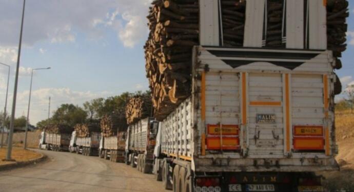 Besta ve Cudi’de 3 yılda 96 alanda ağaç kıyımı!