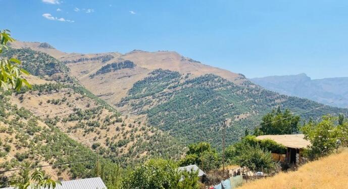 Bilbês’te abluka 27’nci gününde: Ormanlık alanlara ateş ediliyor