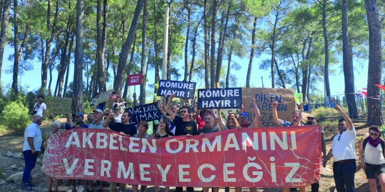 Yaşam savunucuları Akbelen’de ‘büyük buluşma’ için toplandı