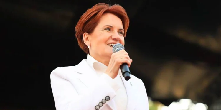 Akşener parti liderlerine seslendi: Ayrı ayrı seçimlere girelim!