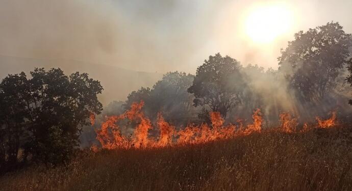 Artuklu’daki orman yangını kontrol altına alındı