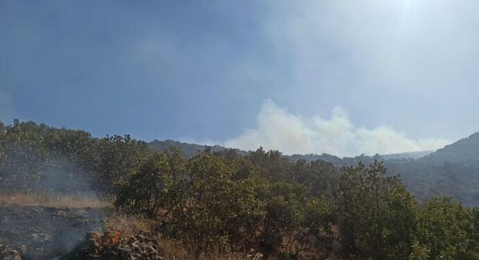 Artuklu’da ormanlık alan yanıyor