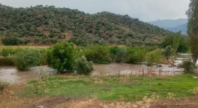 Aydın’da sel: Evleri ve çiftlikleri su bastı