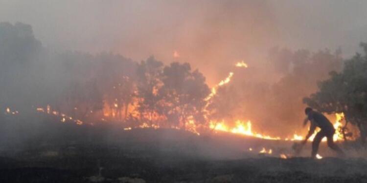 Ekolojistler Cudî eteklerinde buluşacak