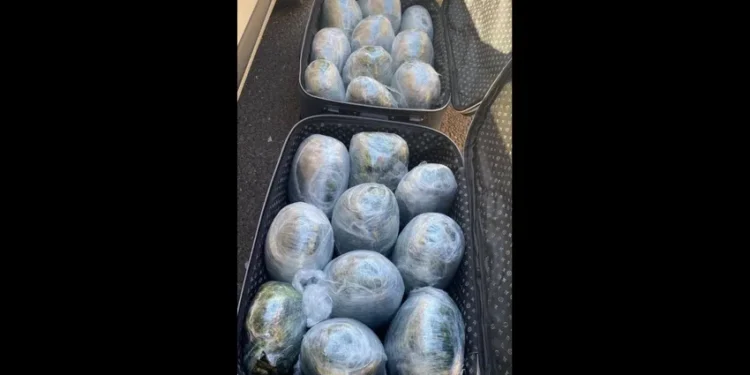 Dilok’ta uyuşturucu ile yakalanan 2 polis tutuklandı