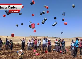 Hazır özeleştiriye başlamışken…